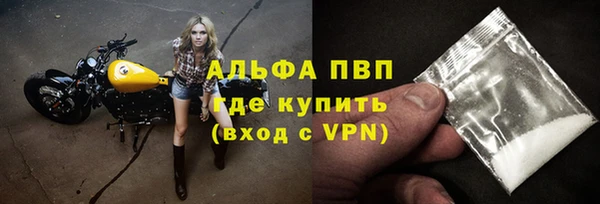 гашик Арсеньев
