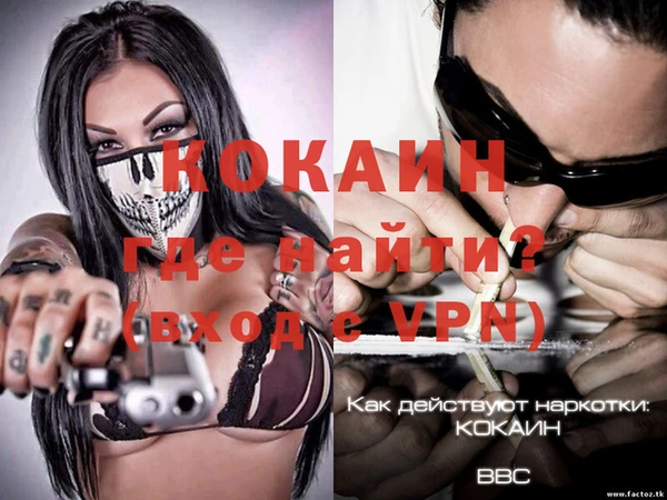 гашик Арсеньев