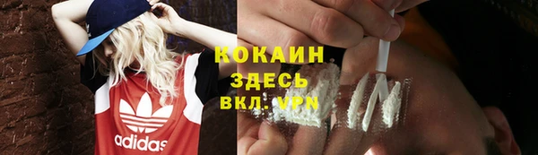гашик Арсеньев