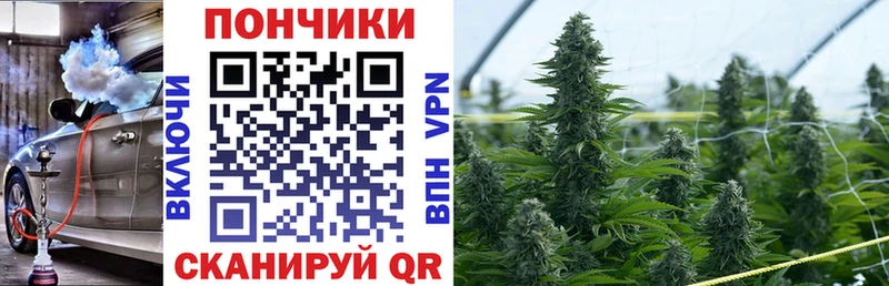 Купить закладки  Нефтекамск  Каннабис SATIVA & INDICA 